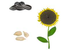 products-1